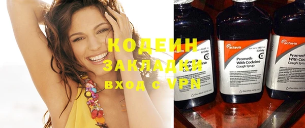 дживик Гусь-Хрустальный