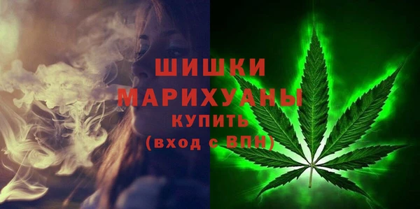 ПСИЛОЦИБИНОВЫЕ ГРИБЫ Гусев
