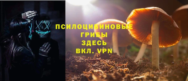 дживик Гусь-Хрустальный