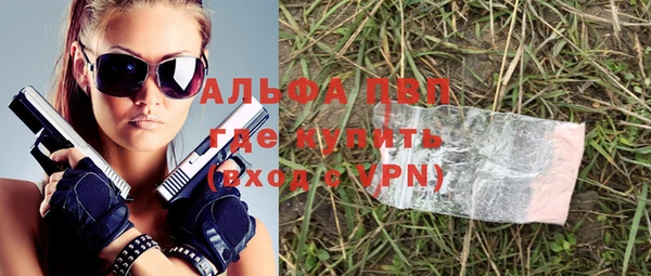 ПСИЛОЦИБИНОВЫЕ ГРИБЫ Гусев