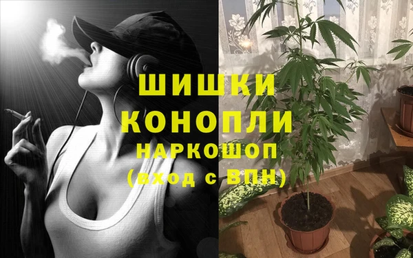 дживик Гусь-Хрустальный