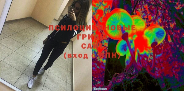 ПСИЛОЦИБИНОВЫЕ ГРИБЫ Гусев