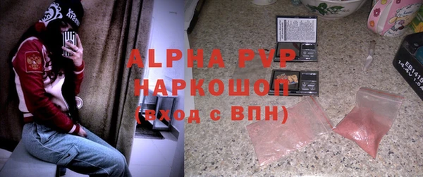 дживик Гусь-Хрустальный